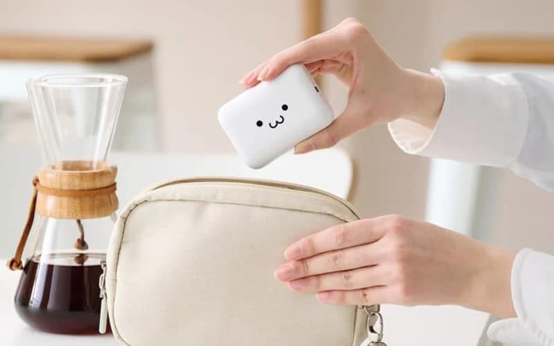 ポーチにモバイルバッテリーを入れる様子