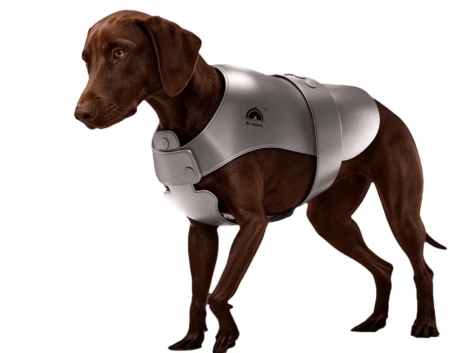 ペット（犬）用アイスベスト